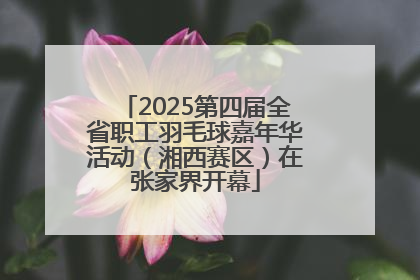 2025第四届全省职工羽毛球嘉年华活动（湘西赛区）在张家界开幕
